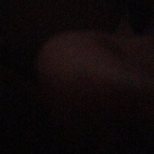 Meet your Posher, Tel